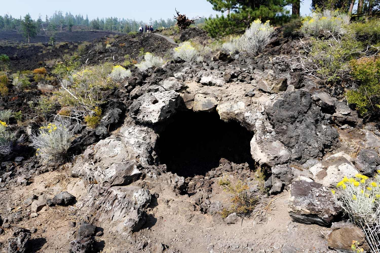 Secret-Lava-Cast-Forests-Of-Central-Oregon secret-lava-cast-forests-of-central-oregon