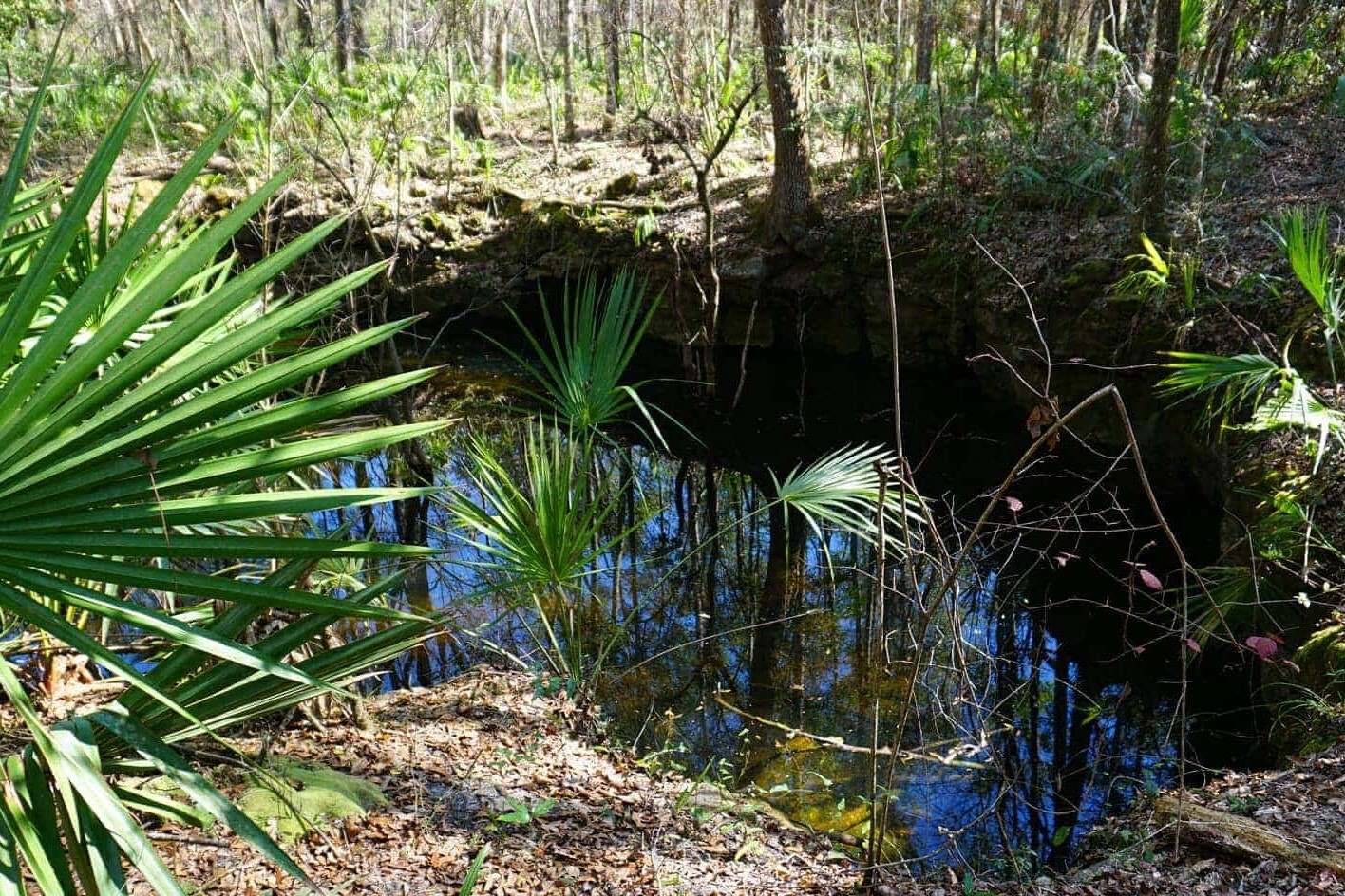 Secret-Sinkholes-Of-Florida8217s-Big-Cypress-National-Preserve secret-sinkholes-of-floridas-big-cypress-national-preserve