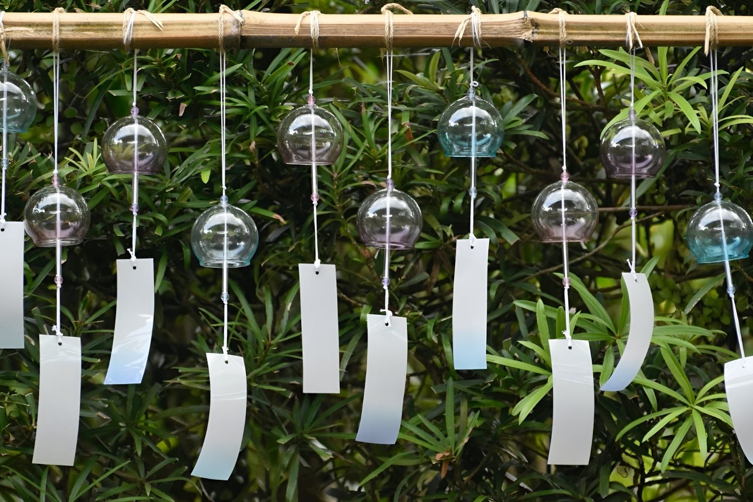 secret-sound-gardens-of-the-southwest