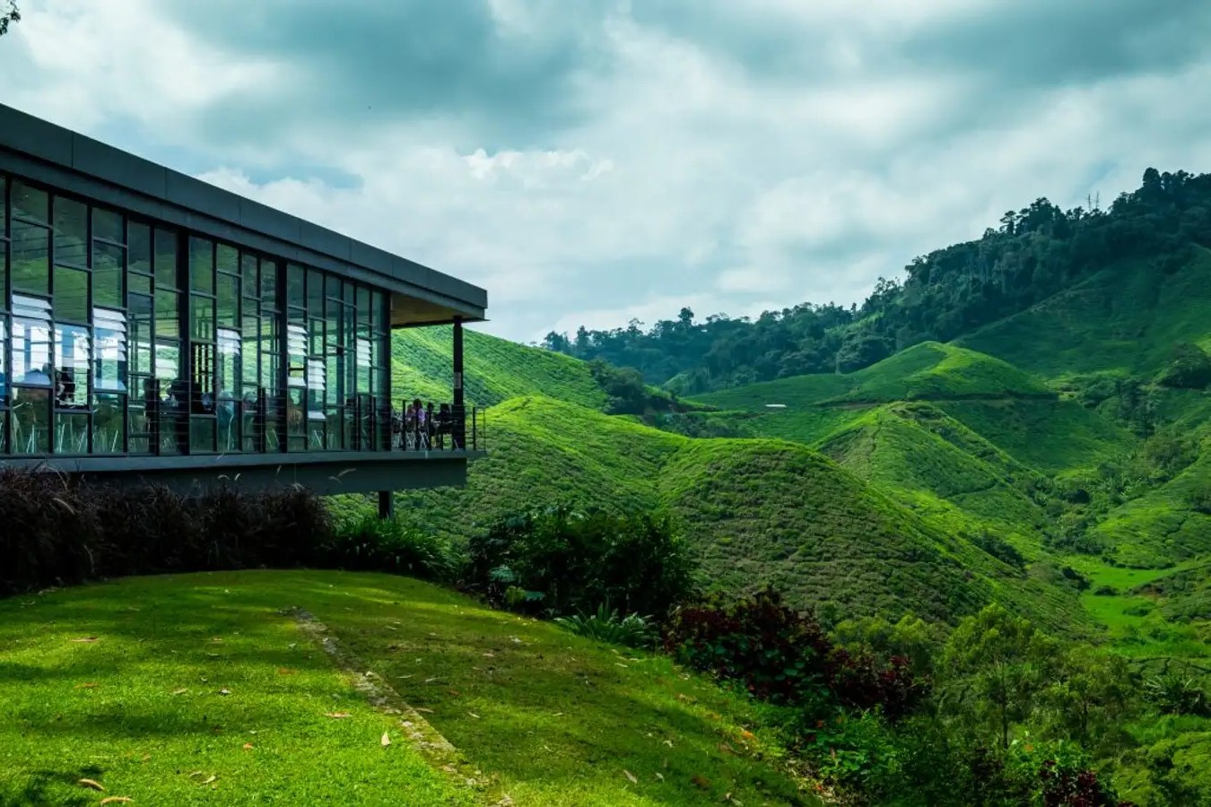 secrets-of-cameron-highlands-tea-tour