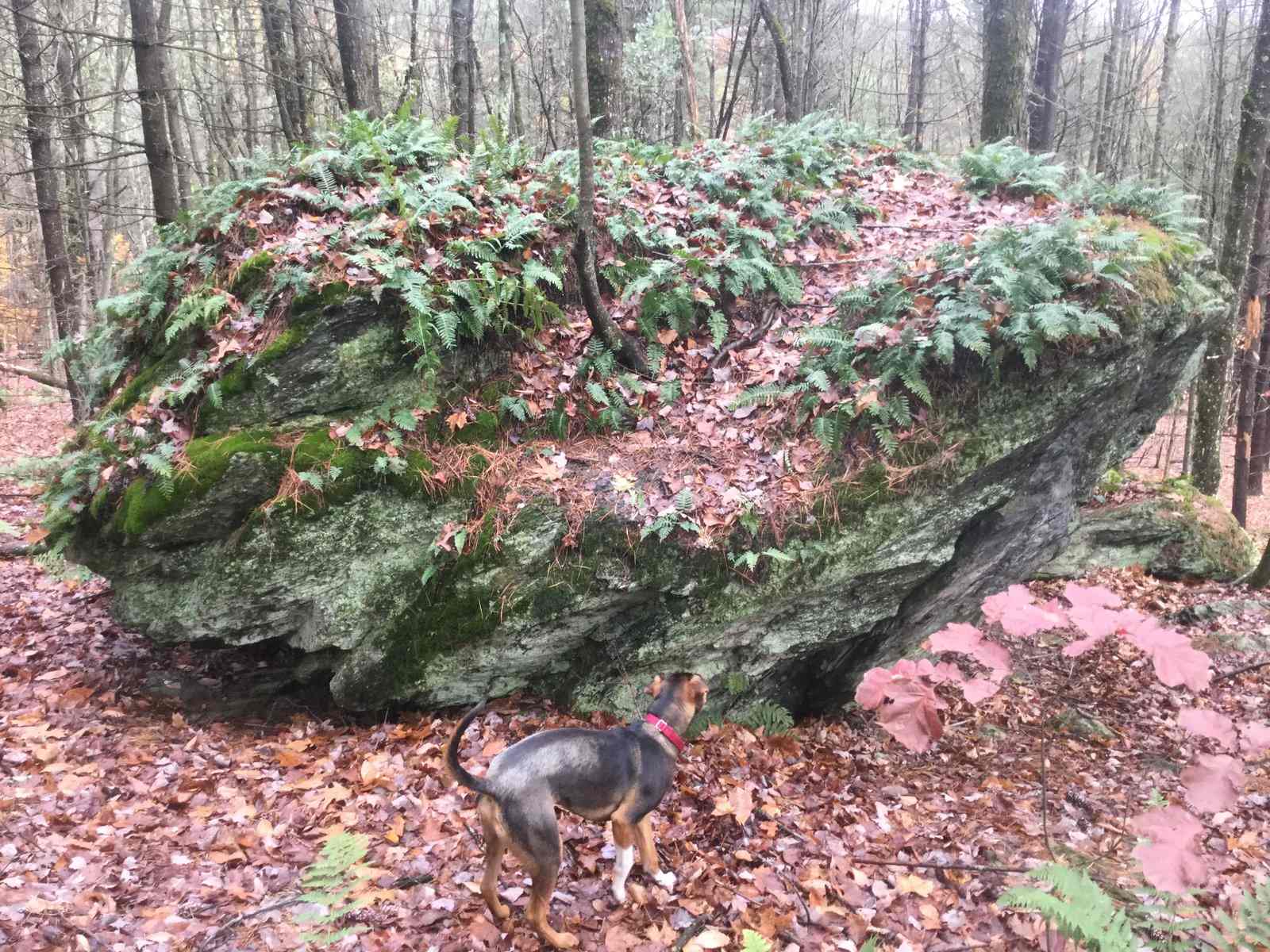 Secrets-Of-Ice-Age-Glacial-Erratics-In-New-England secrets-of-ice-age-glacial-erratics-in-new-england