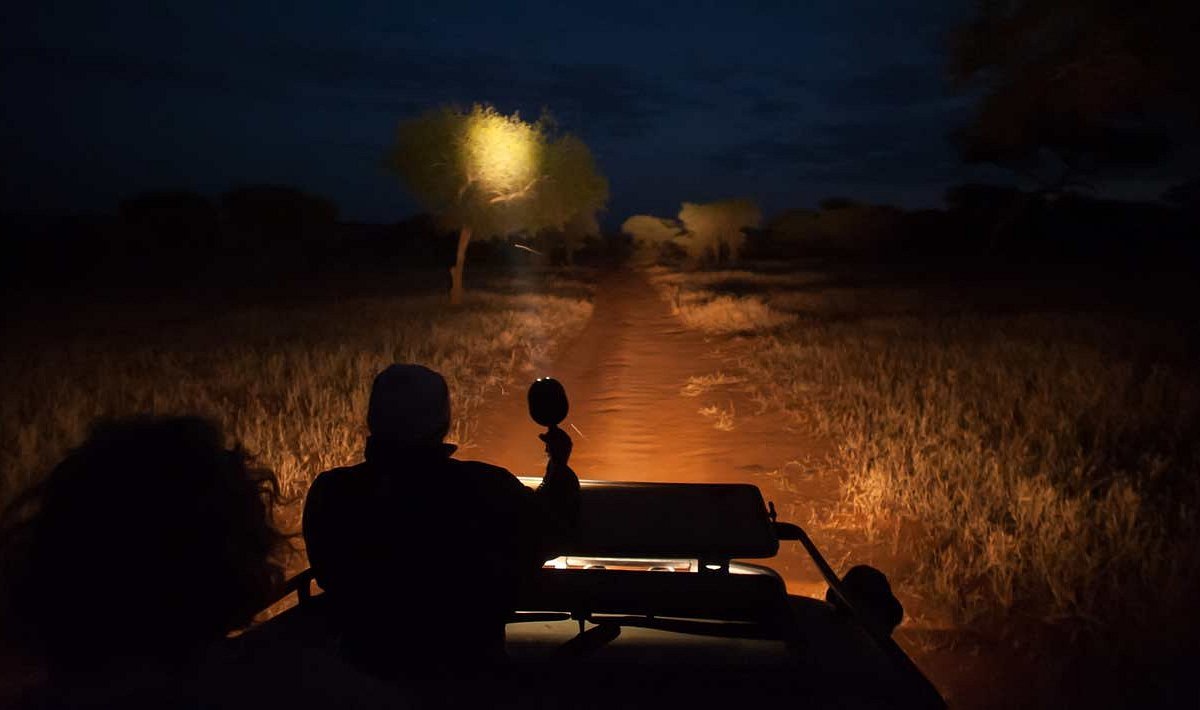 Secrets-Of-Kruger-National-Park-Night-Drive secrets-of-kruger-national-park-night-drive