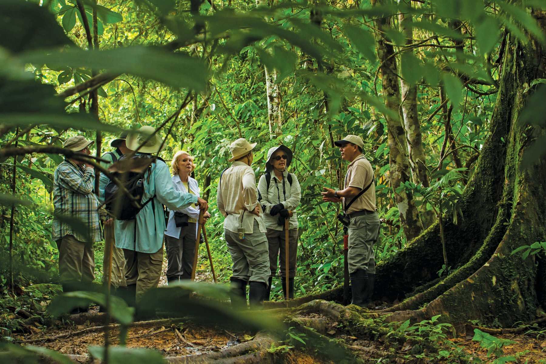 Secrets-Of-The-Amazon-Rainforest-Expedition secrets-of-the-amazon-rainforest-expedition