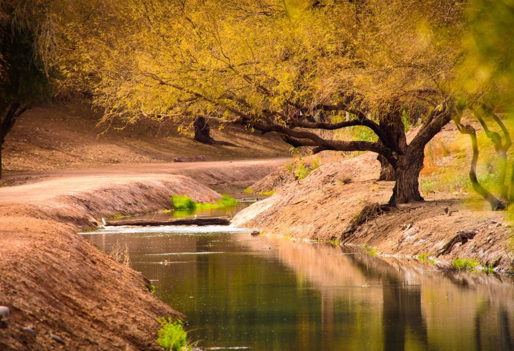 Secrets-Of-The-Ancient-Hohokam-Canal-Systems-In-Arizona secrets-of-the-ancient-hohokam-canal-systems-in-arizona