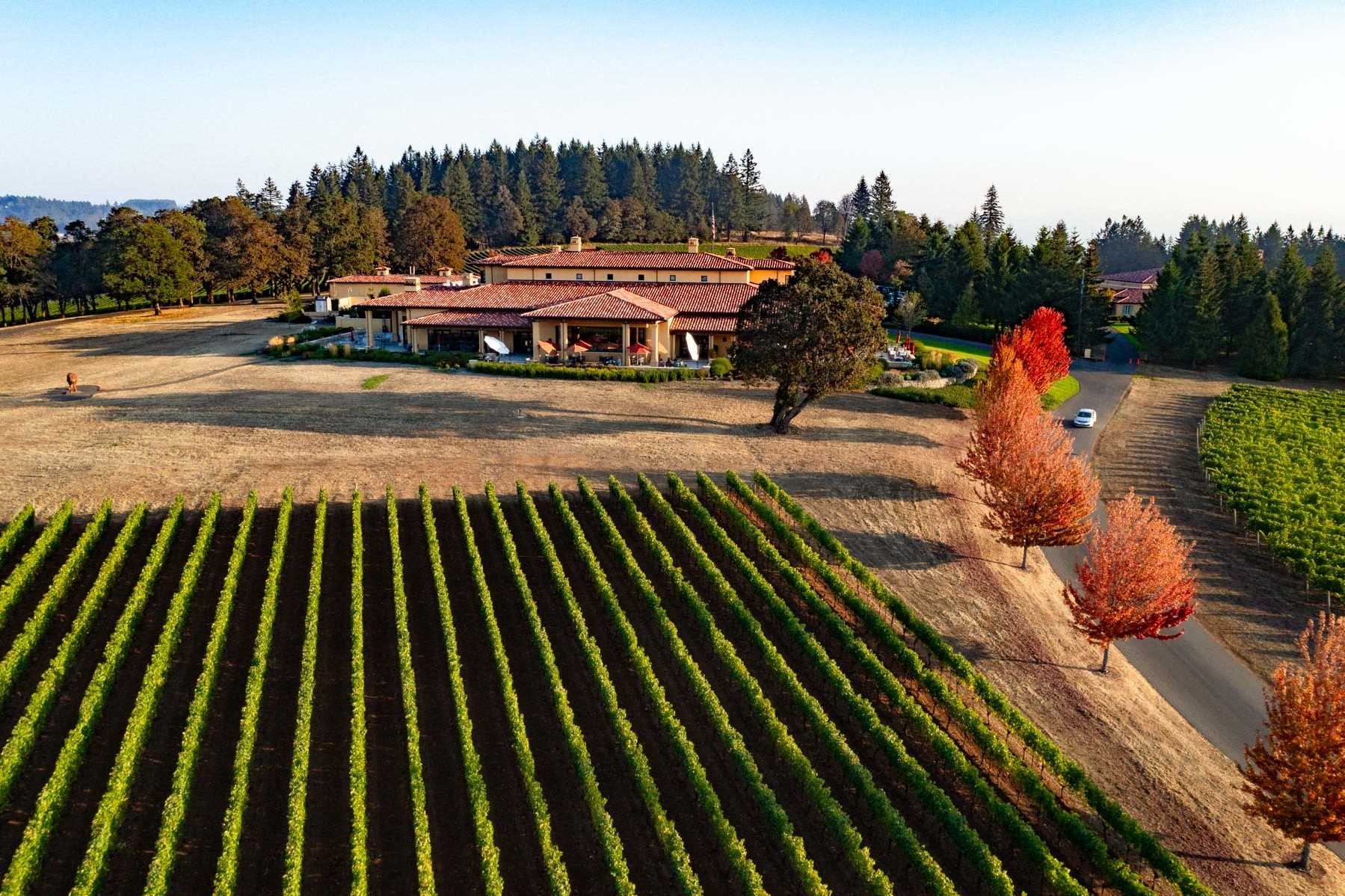 Secrets-Of-The-Best-Wineries-In-Oregon8217s-Willamette-Valley secrets-of-the-best-wineries-in-oregons-willamette-valley