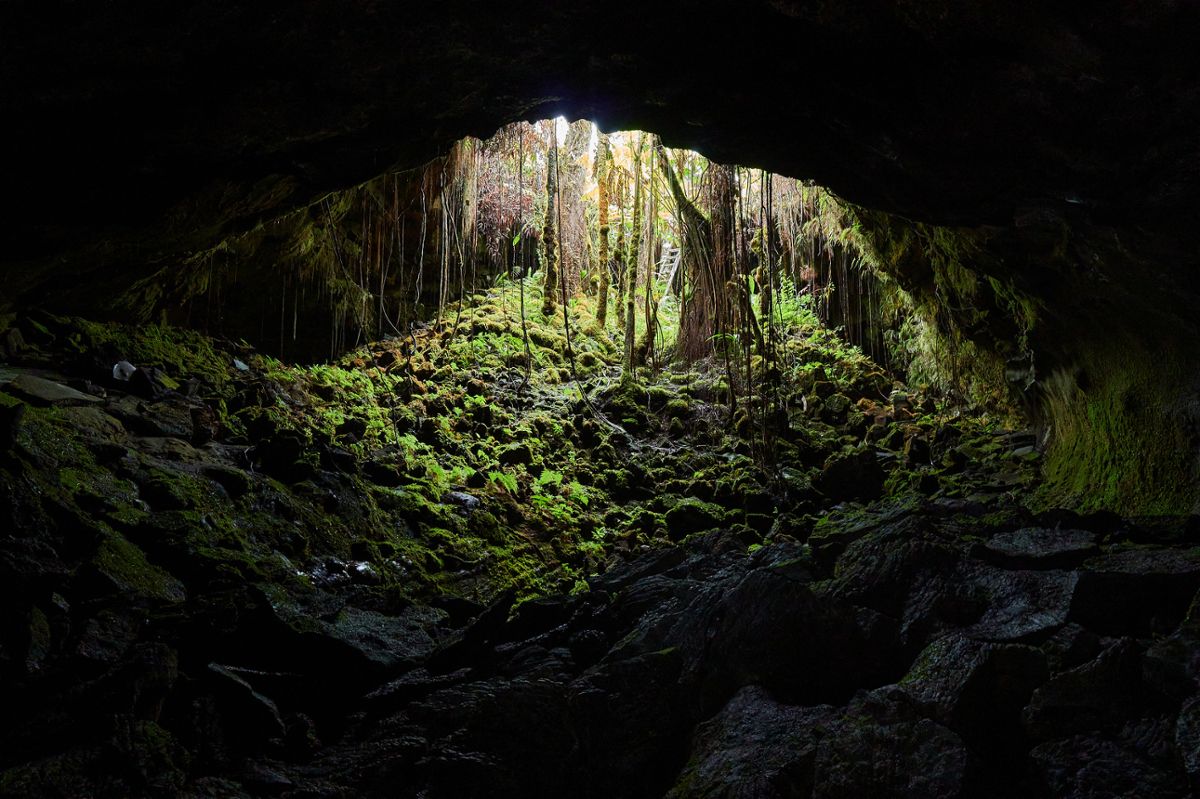 Secrets-Of-The-Cascade-Lava-Caves secrets-of-the-cascade-lava-caves
