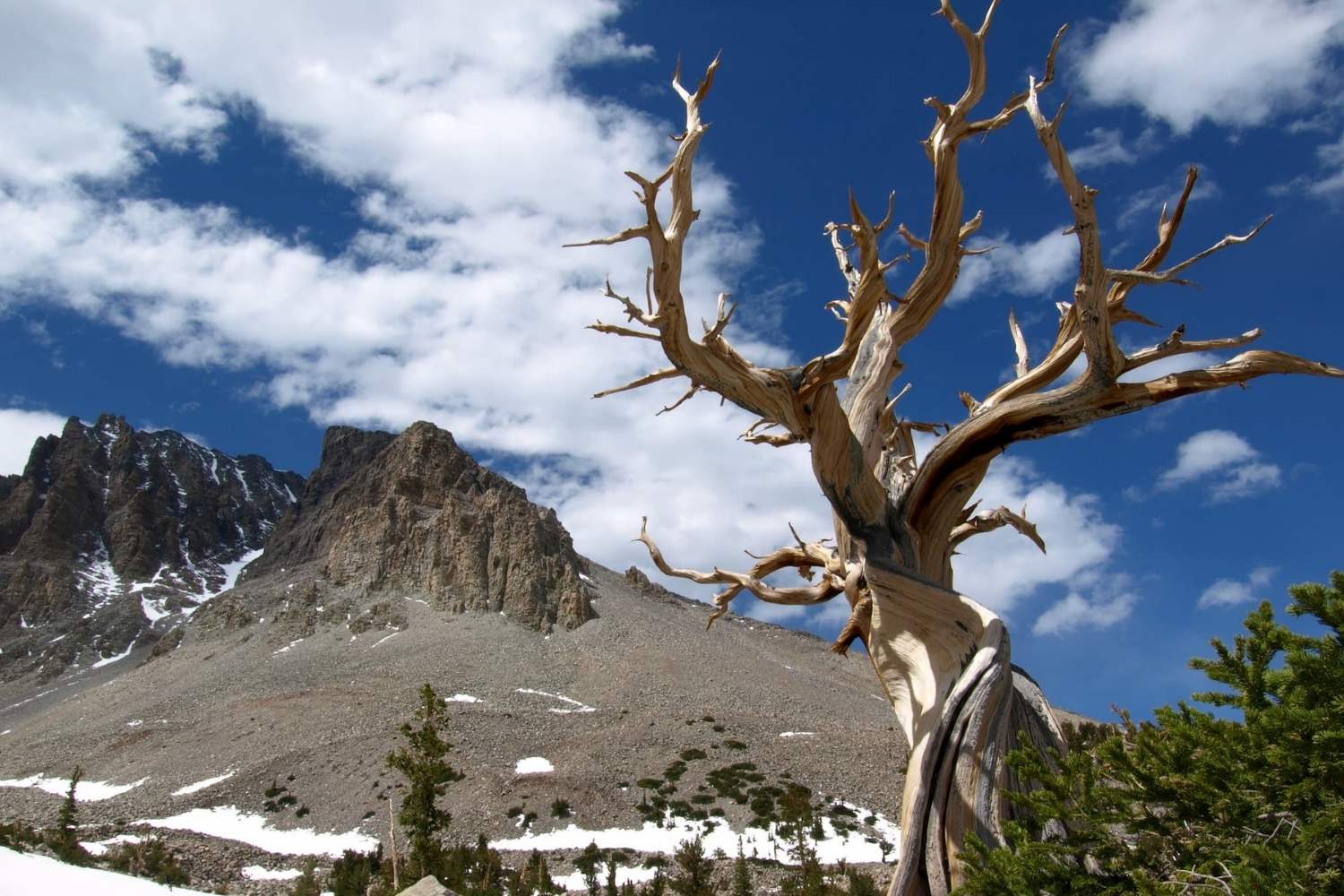 Secrets-Of-The-Great-Basin-National-Park secrets-of-the-great-basin-national-park