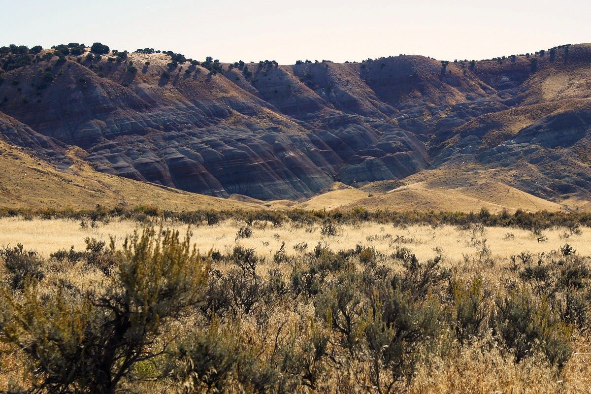 Secrets-Of-The-Morrison-Formation-Fossil-Beds secrets-of-the-morrison-formation-fossil-beds