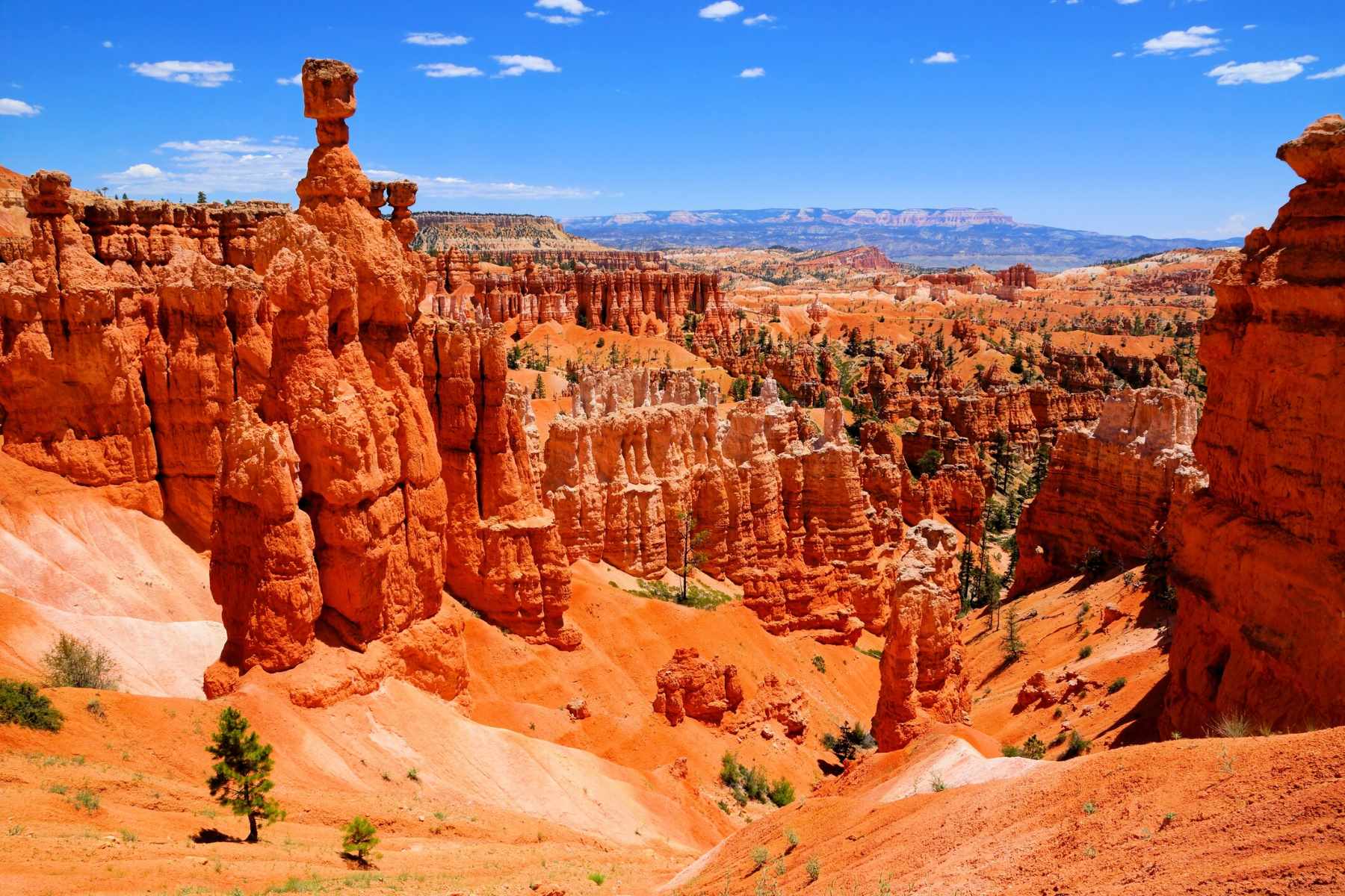 Secrets-Of-The-Painted-Canyons-In-The-Book-Cliffs secrets-of-the-painted-canyons-in-the-book-cliffs