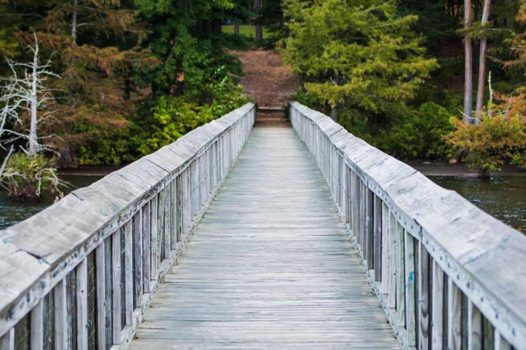 serene-adventures-at-lake-darbonne-state-park