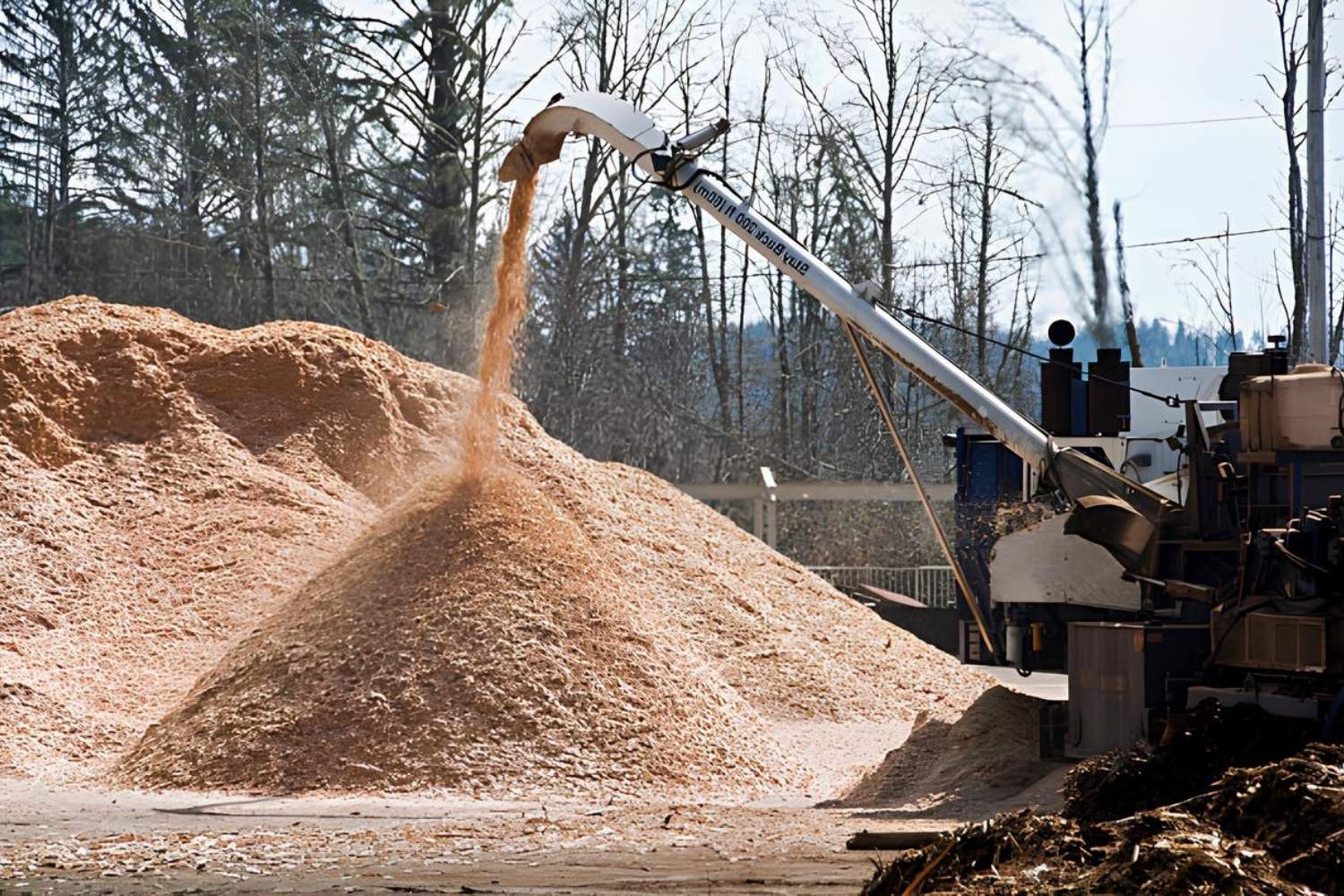 Shadows-Of-The-Sawmills-Hidden-Sawdust-Pile-Islands shadows-of-the-sawmills-hidden-sawdust-pile-islands