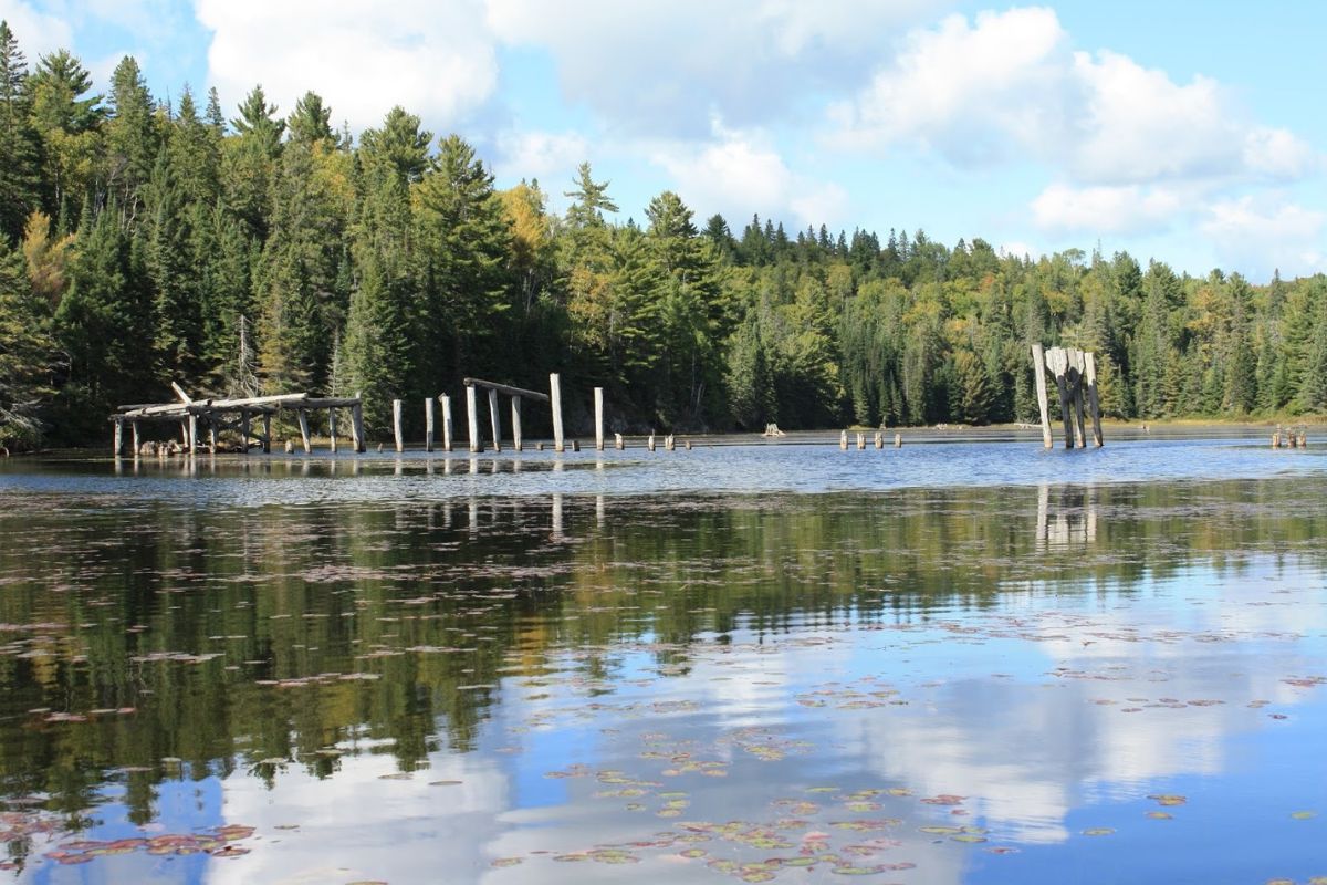 shadows-of-the-sawmills-lost-timber-industry-relics