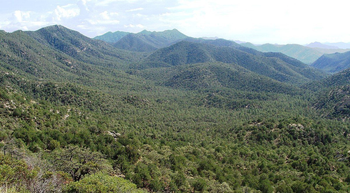 sky-island-wonders-of-coronado-national-forest
