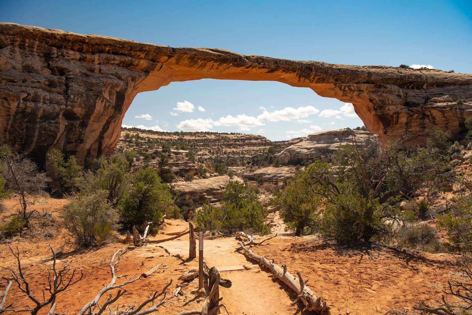 stargazing-bliss-at-natural-bridges