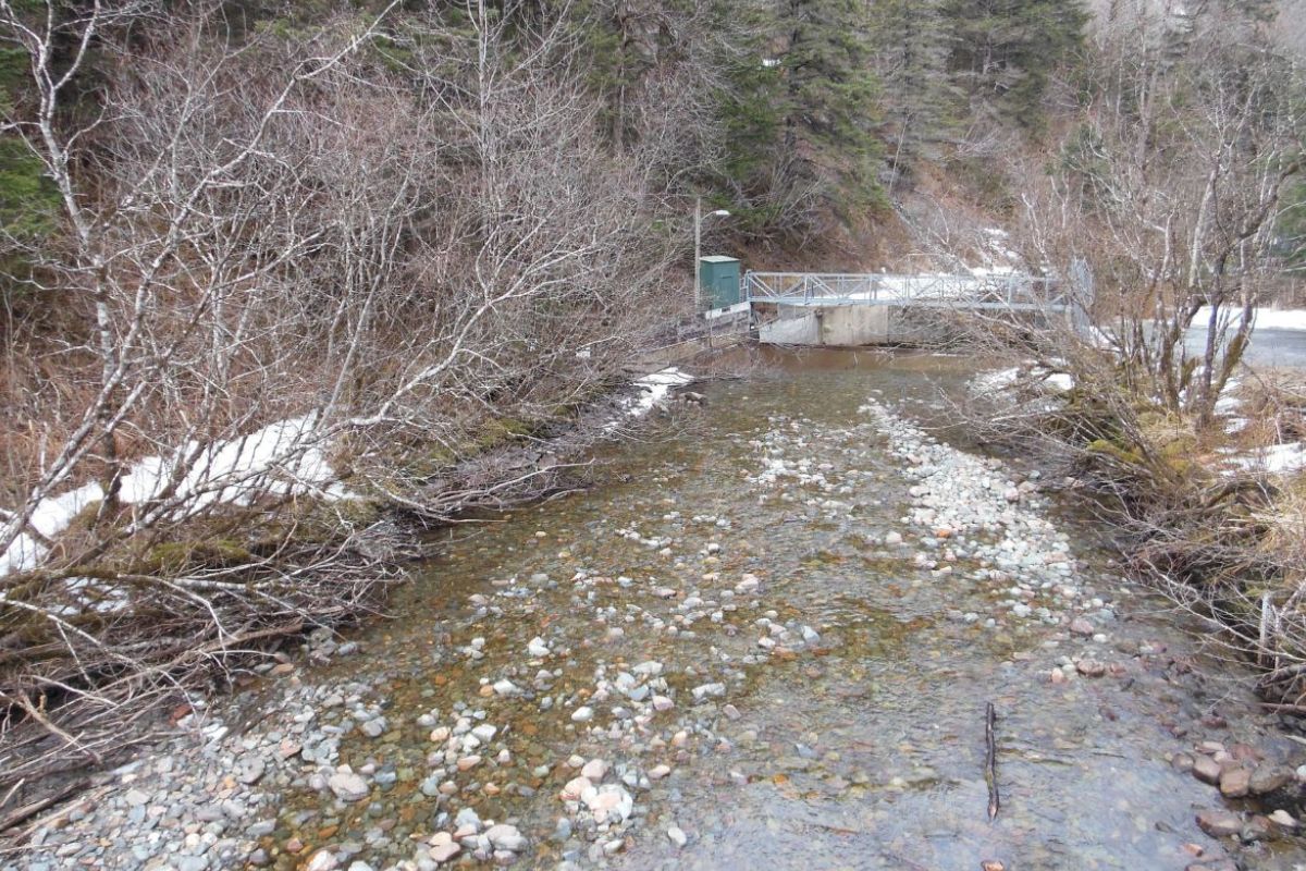 strike-gold-at-juneaus-cope-park-creek