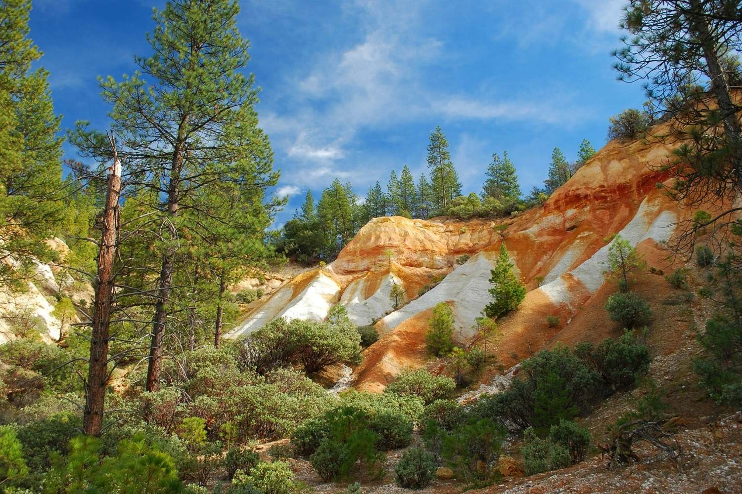 strike-gold-at-malakoff-diggins-state-historic-park
