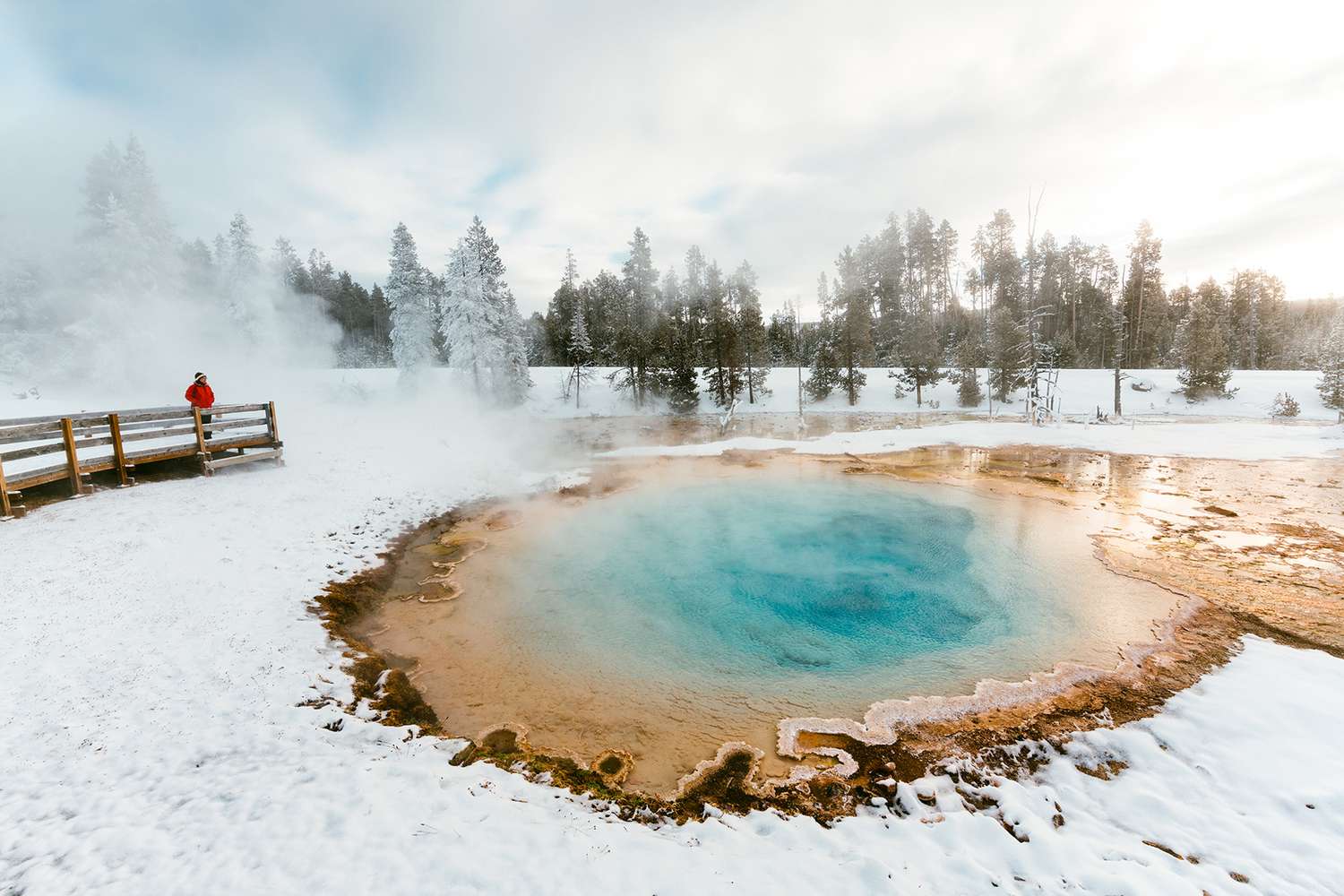 The-Magic-Of-Yellowstone-In-Winter the-magic-of-yellowstone-in-winter
