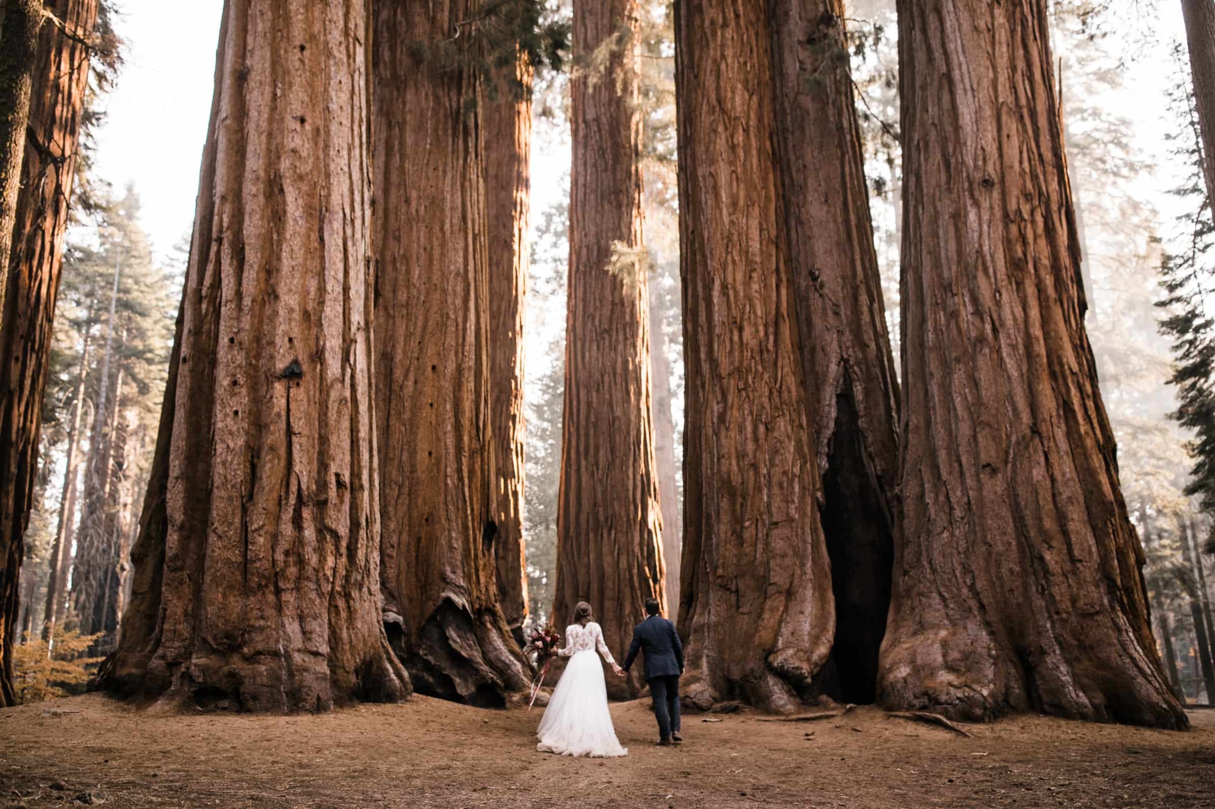 The-Wonders-Of-Sequoia-National-Park the-wonders-of-sequoia-national-park