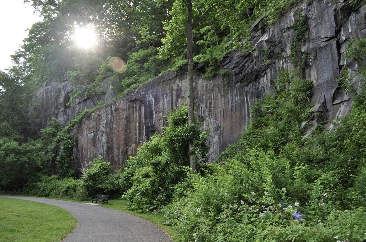 thrill-at-alapocas-run-state-parks-rock-climbing-wall