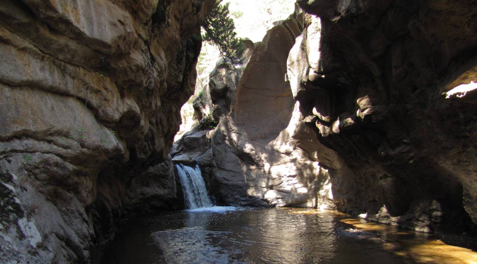 thrill-at-mountain-creeks-canyon-cliff-jump