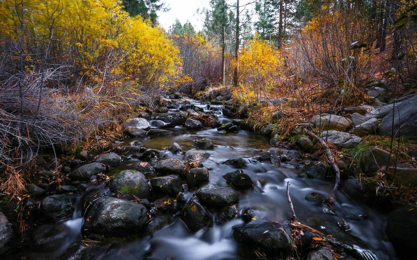 thrilling-adventures-await-on-galena-creek-trails