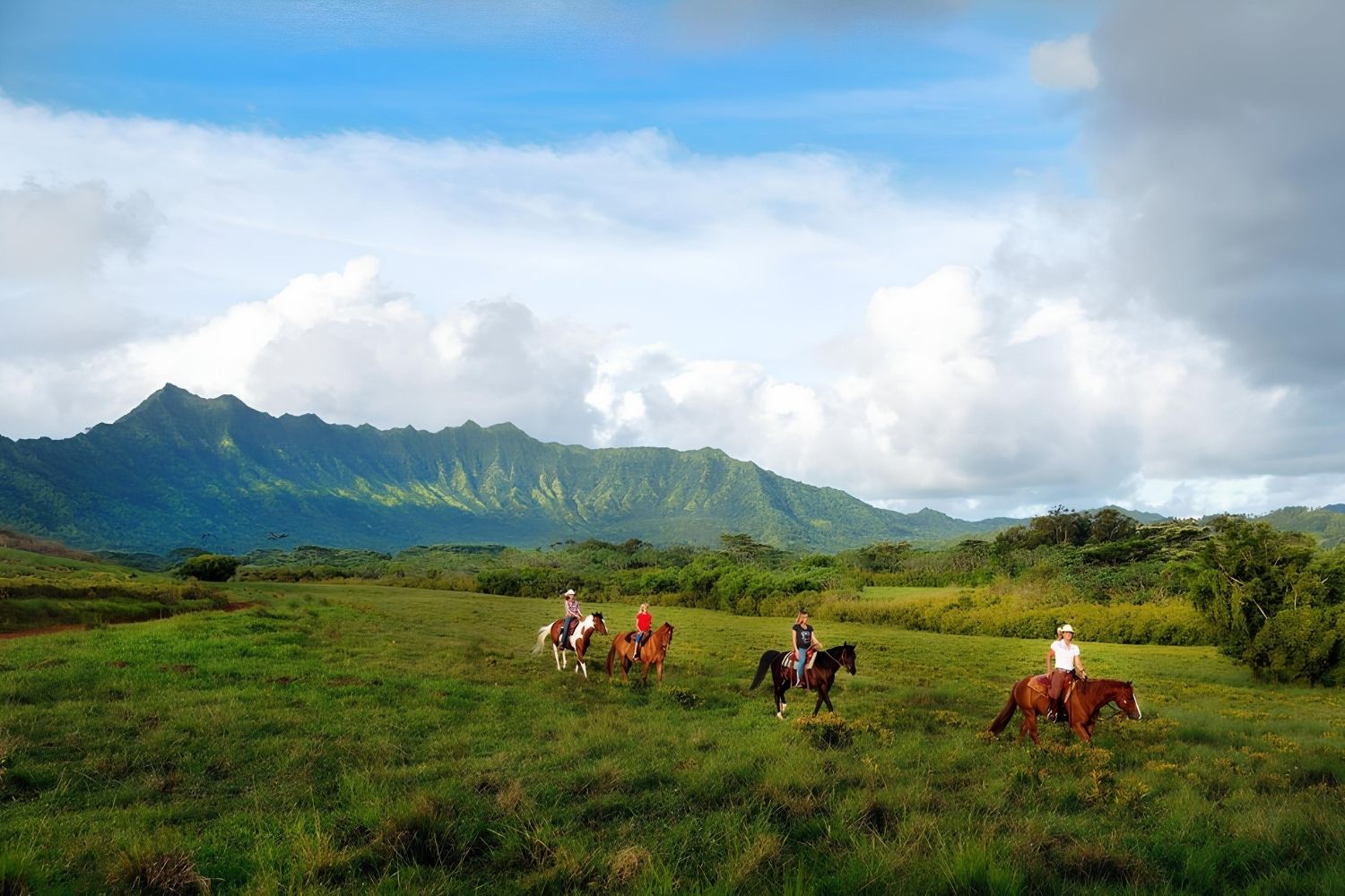 thrilling-escapades-at-princeville-ranch