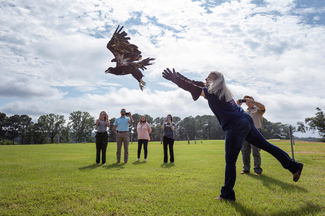Thrilling-Raptor-Encounters-At-Southeastern-Raptor-Center thrilling-raptor-encounters-at-southeastern-raptor-center