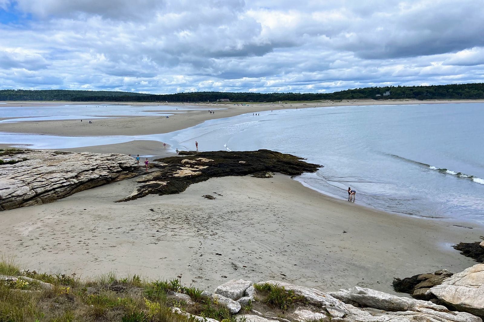 Tidal-Treasures-At-Popham-Beach-State-Park tidal-treasures-at-popham-beach-state-park