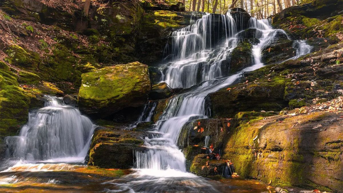 tobyhanna-state-park-natures-hidden-gem