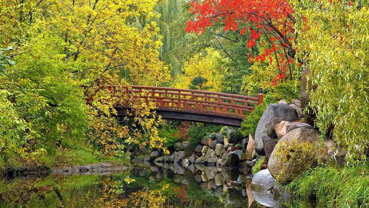 tranquil-beauty-awaits-at-rockfords-japanese-gardens