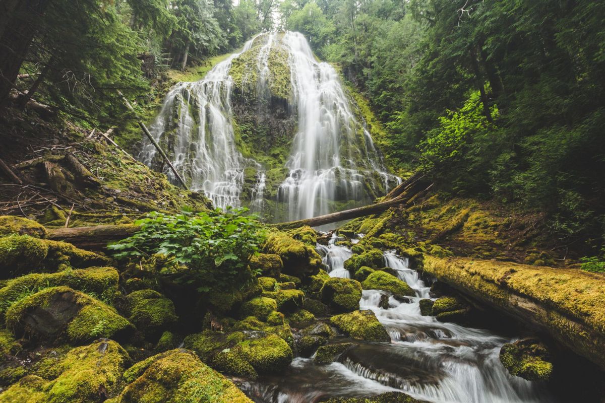 twin-waterfalls-of-proxy-falls-magic