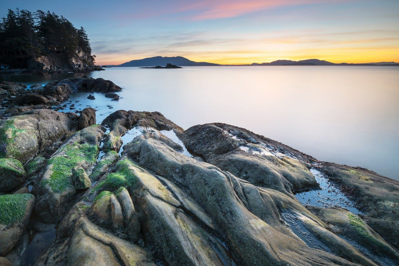 uncover-magic-at-bellinghams-larrabee-state-park