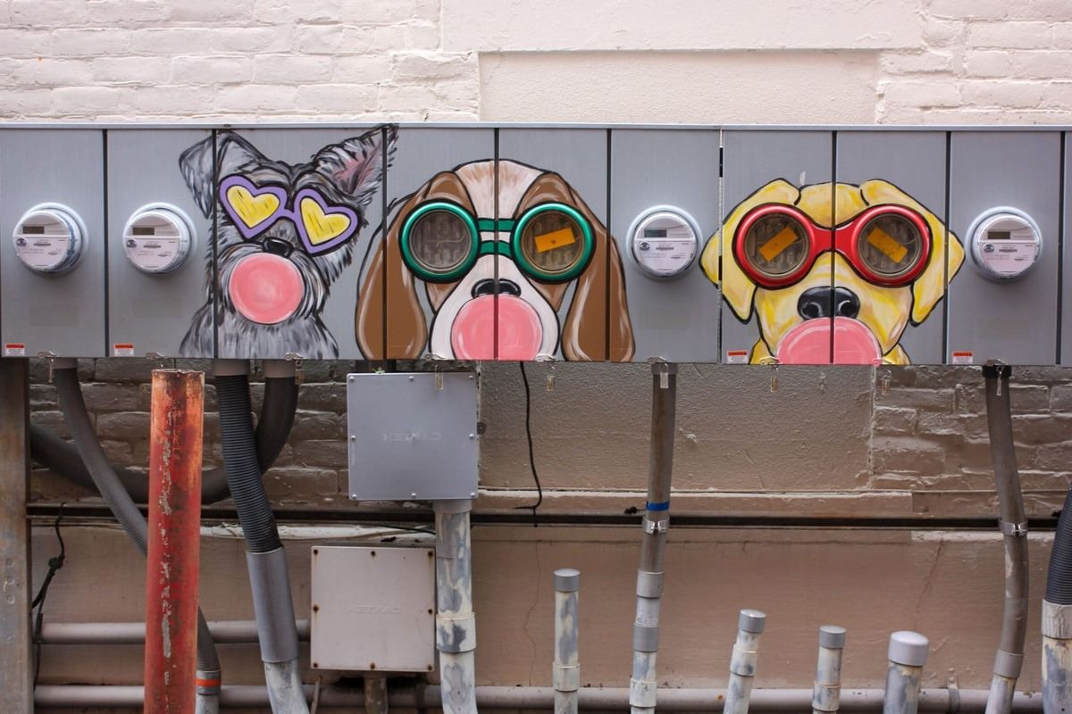 uncover-the-magic-of-hattiesburgs-pocket-museum