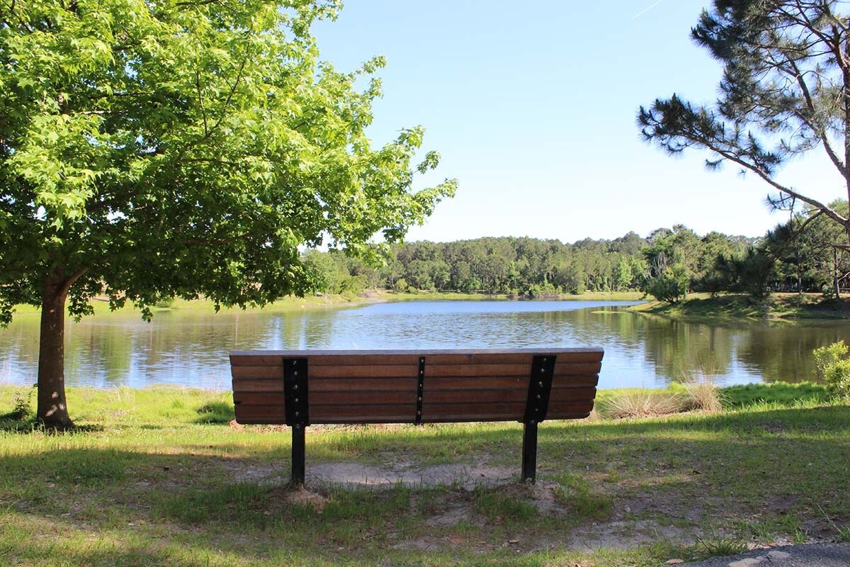 uncover-the-magic-of-jarvis-creek-park