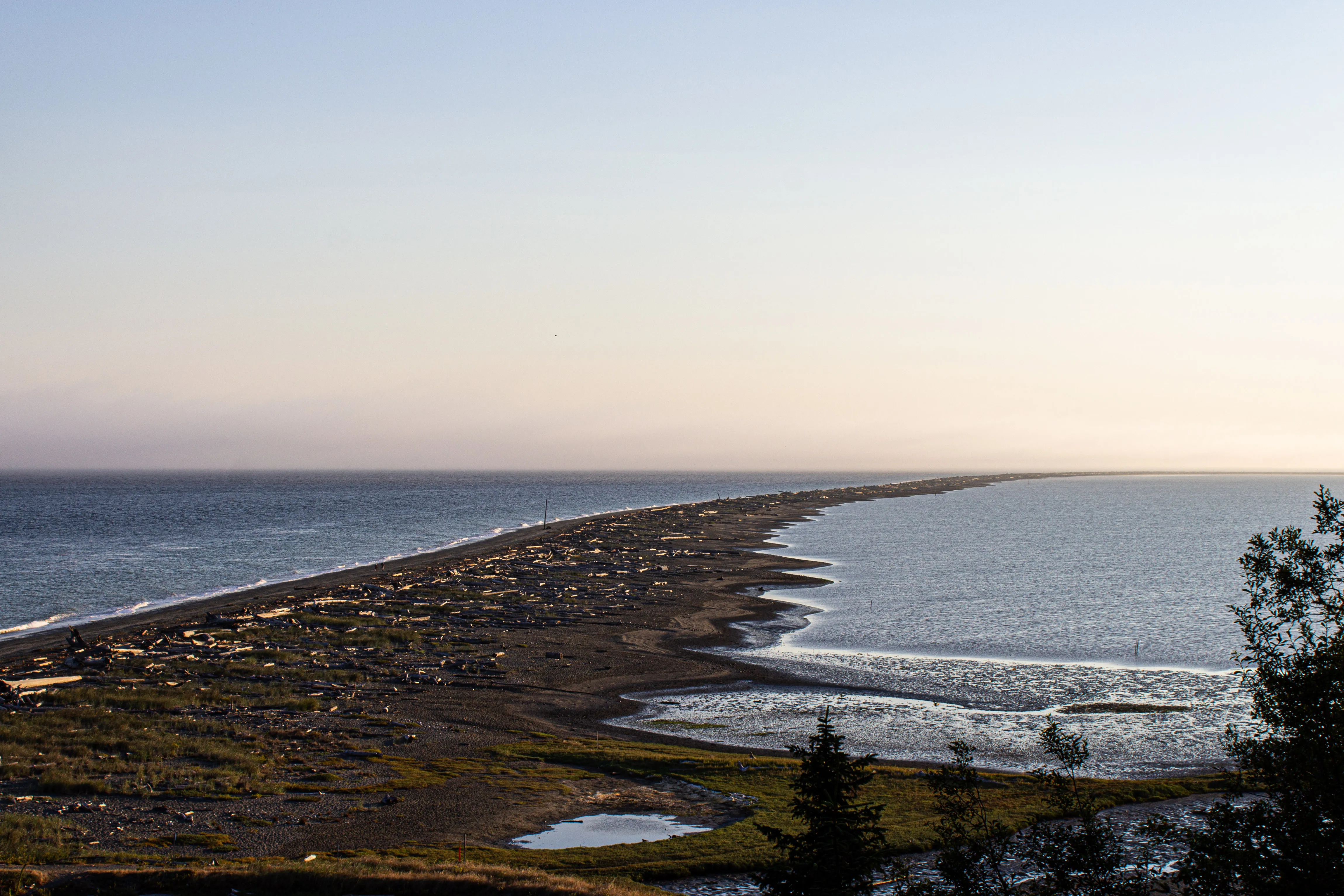 Uncover-The-Magic-Of-Sequim8217s-Dungeness-Spit uncover-the-magic-of-sequims-dungeness-spit