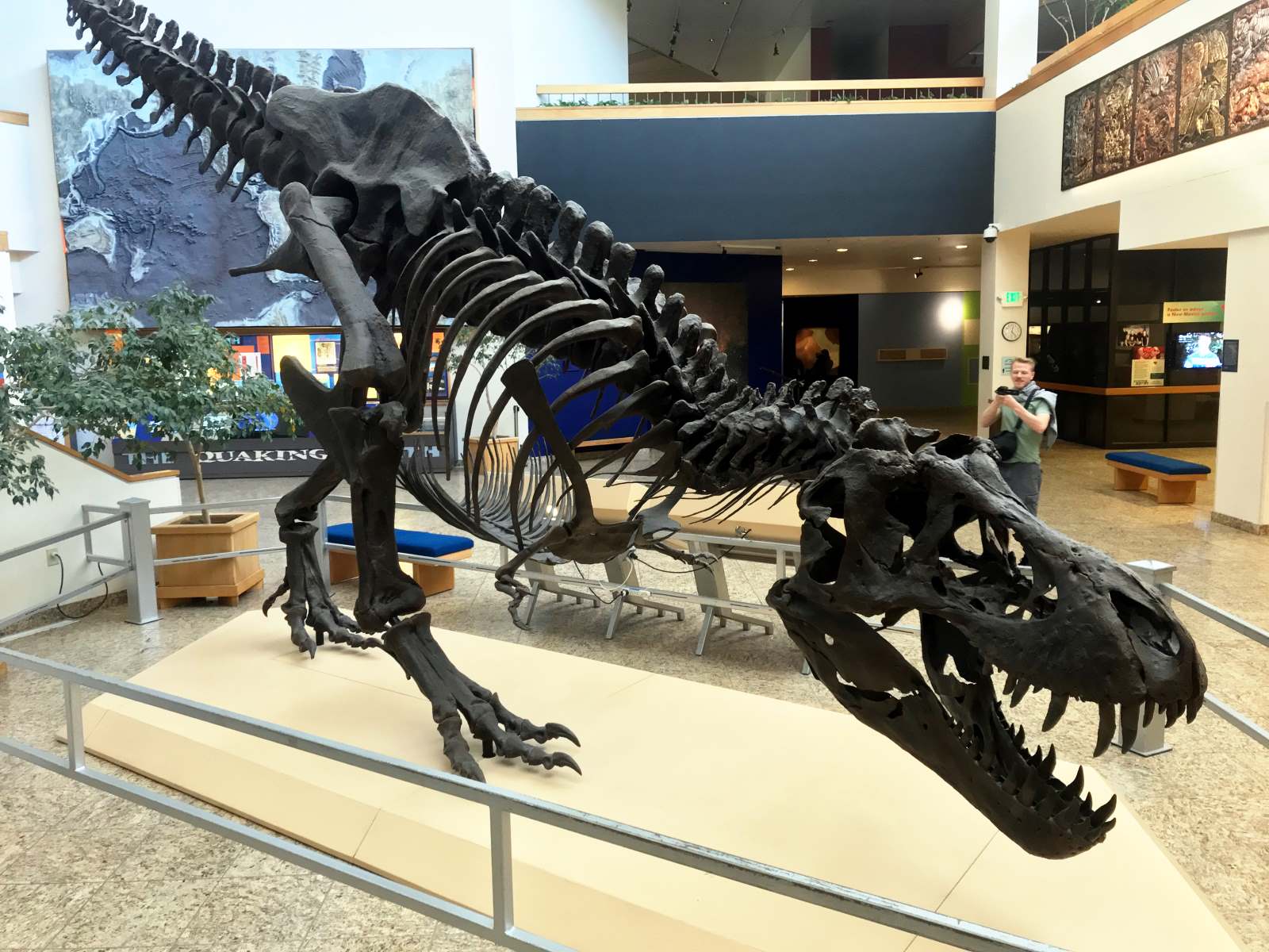 uncover-the-mysteries-of-gallups-rex-museum