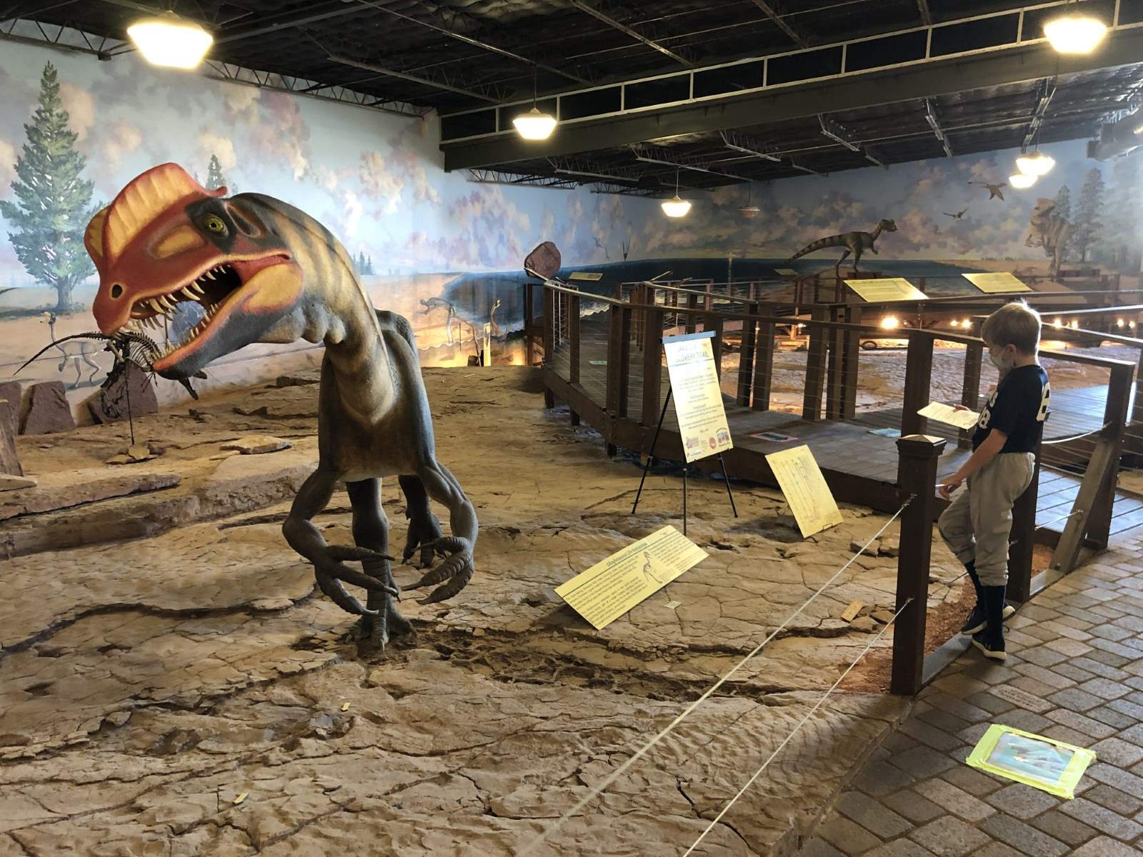 unearth-prehistoric-wonders-at-st-georges-dinosaur-site