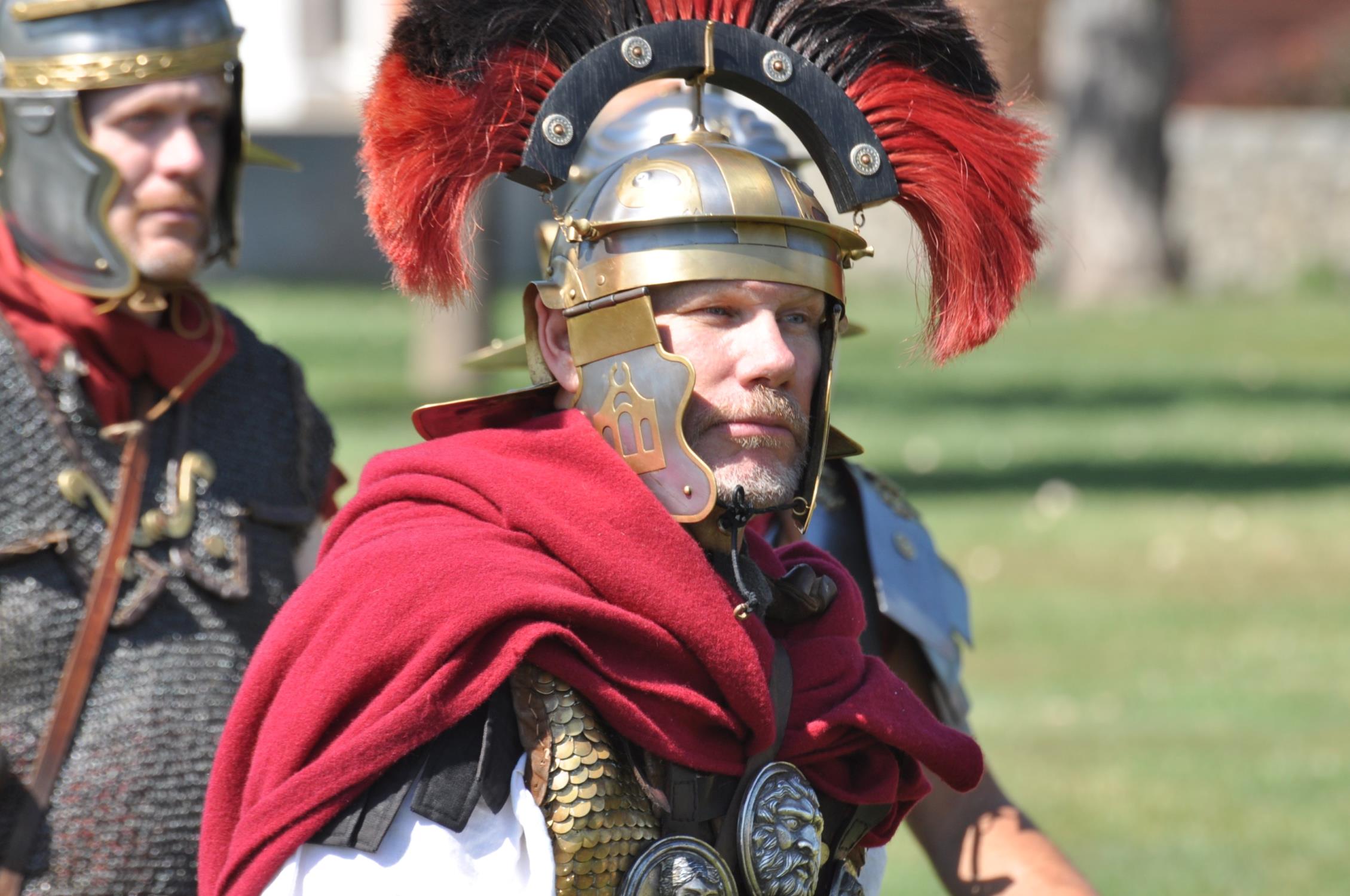 unearth-wonders-at-yorks-clayton-museum