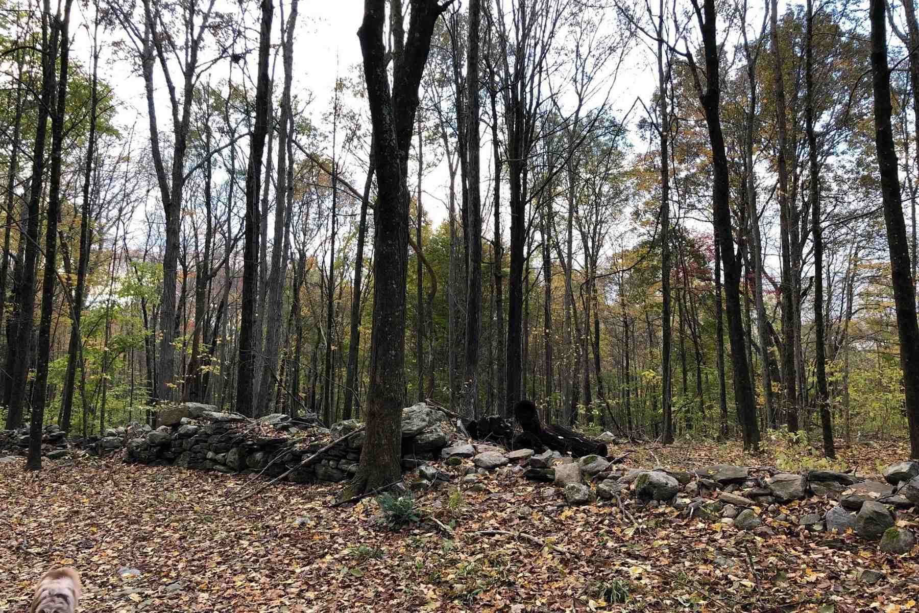 Unveil-The-Charm-Of-Hebron8217s-Gay-City-State-Park unveil-the-charm-of-hebrons-gay-city-state-park