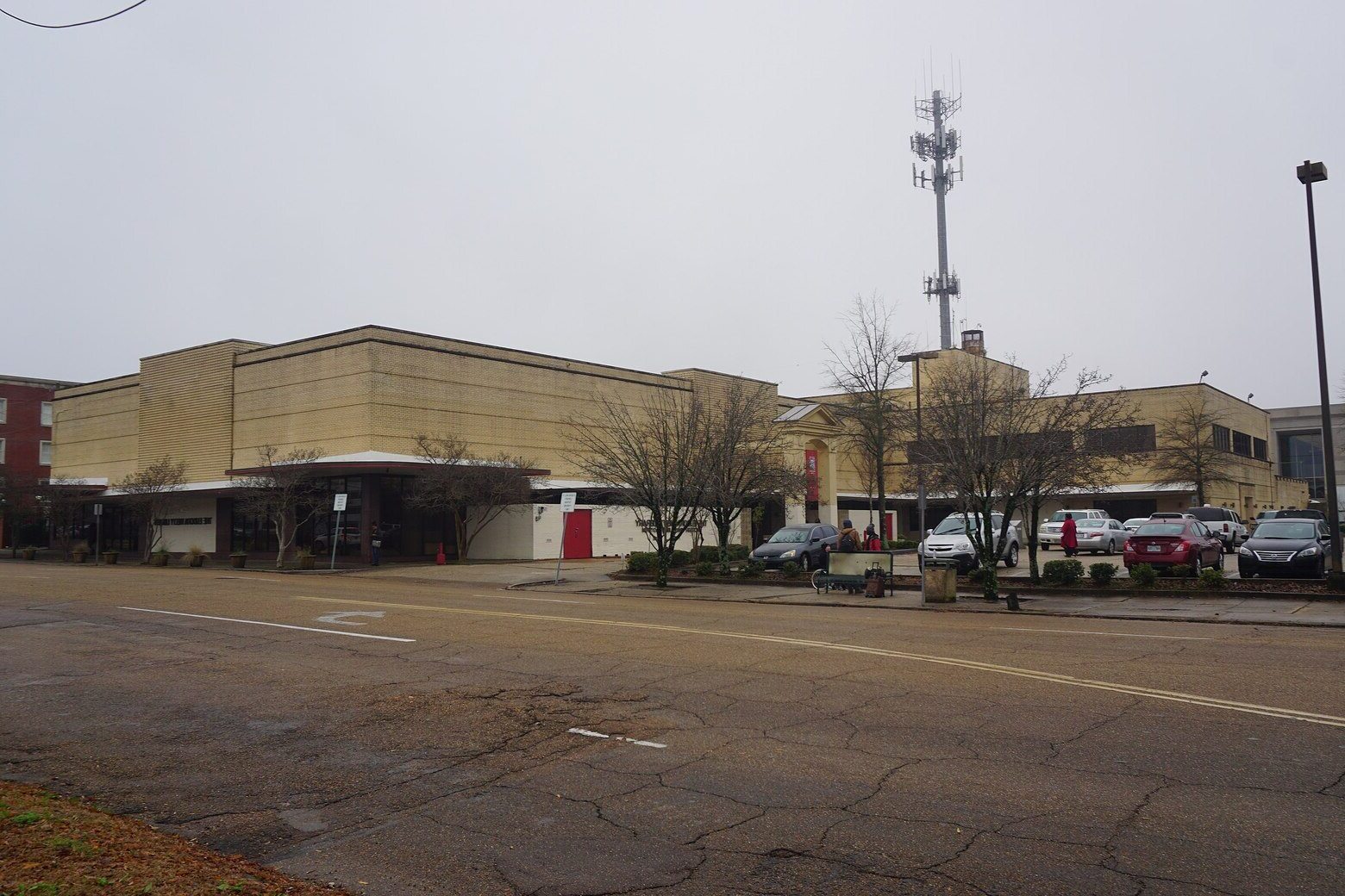 unveil-the-charm-of-jacksons-eudora-welty-library