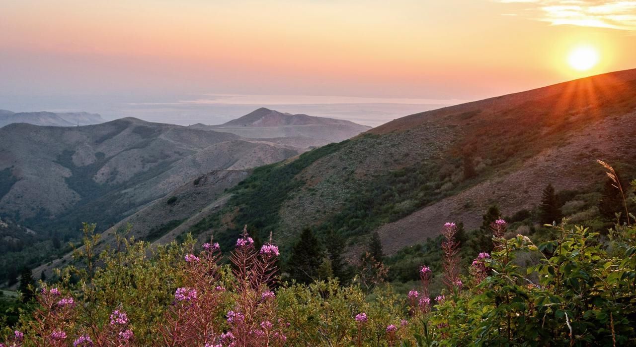 unveil-the-charm-of-pocatellos-lower-ross-park