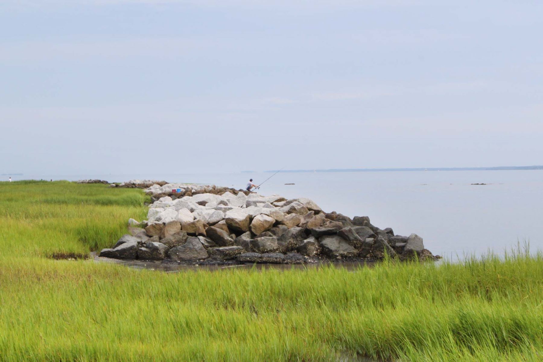 unveil-the-magic-of-fish-haul-creek-park