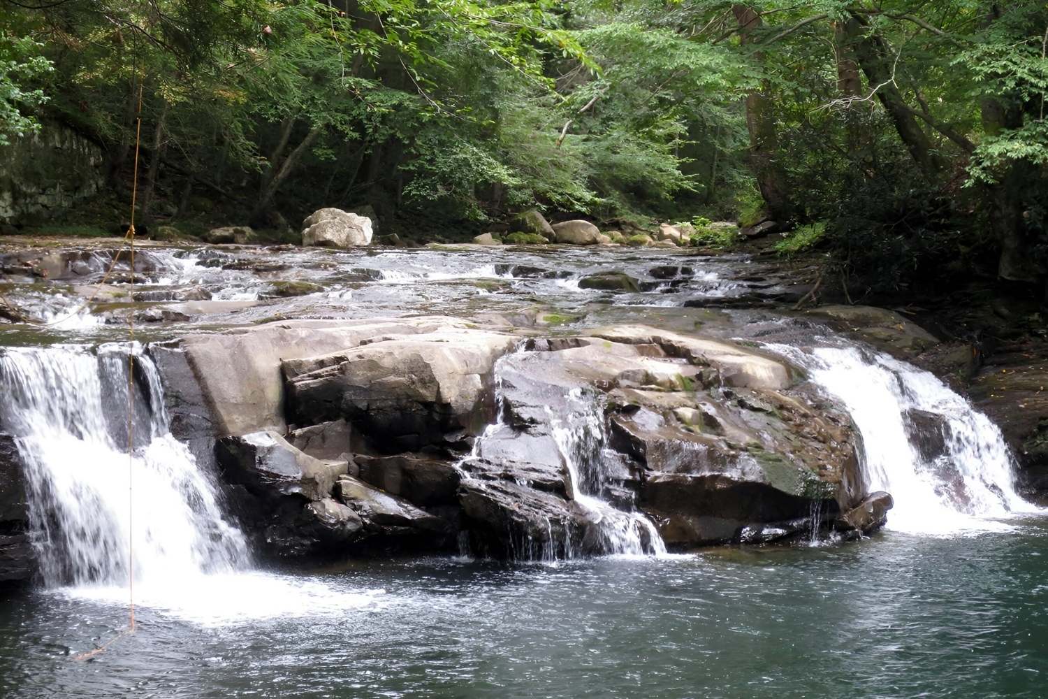 unveil-the-magic-of-glade-creek-trail