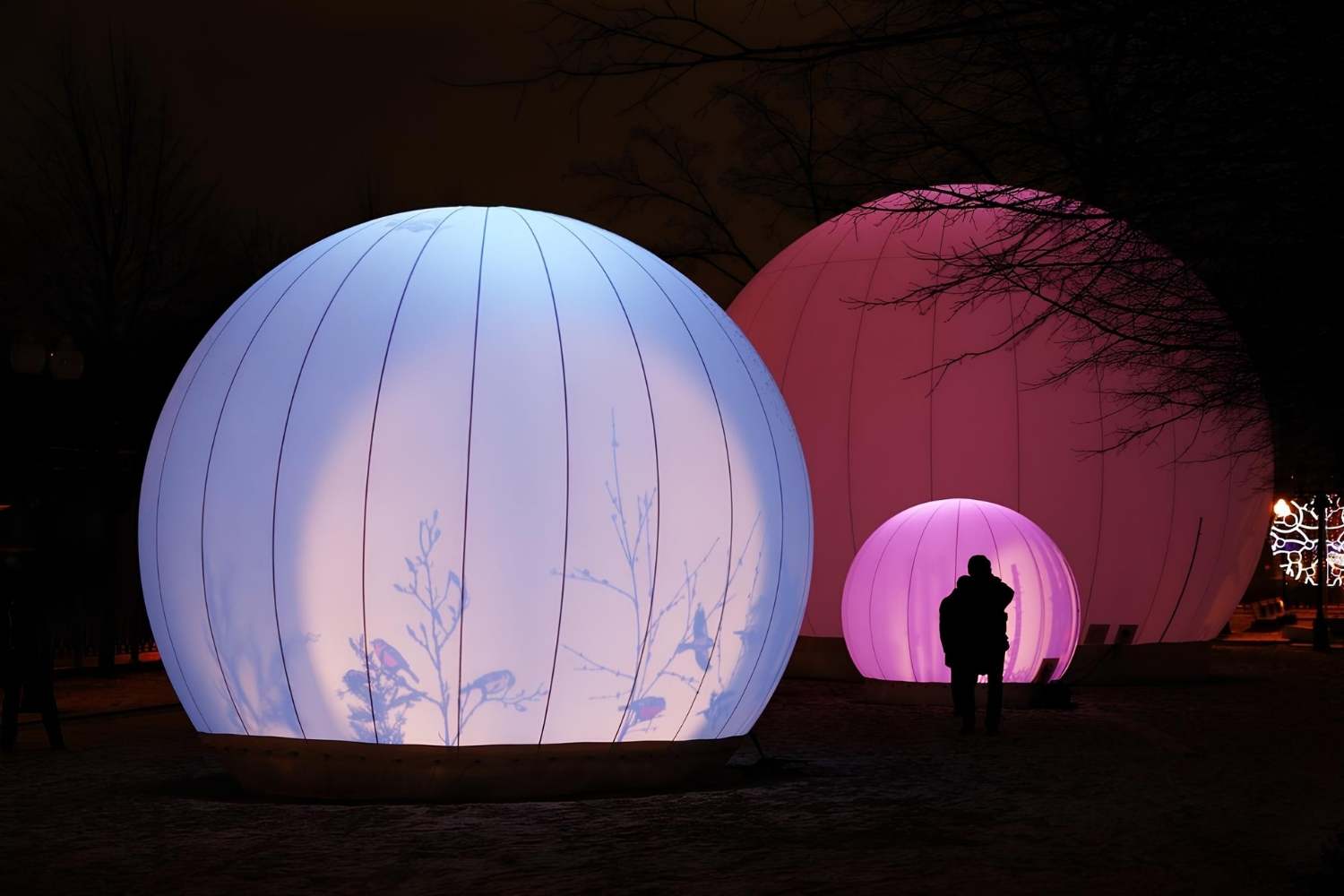 unveil-the-magic-of-houstons-discovery-green