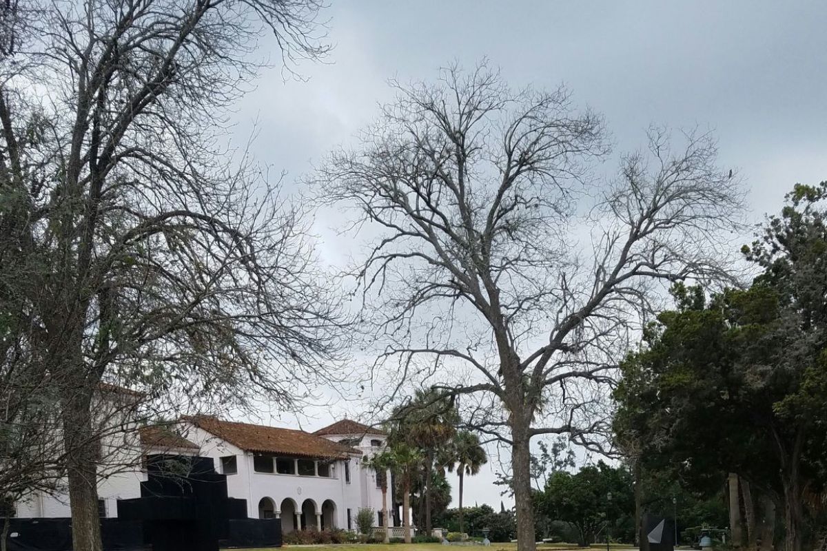 unveil-the-magic-of-mcnay-art-museum-in-san-antonio