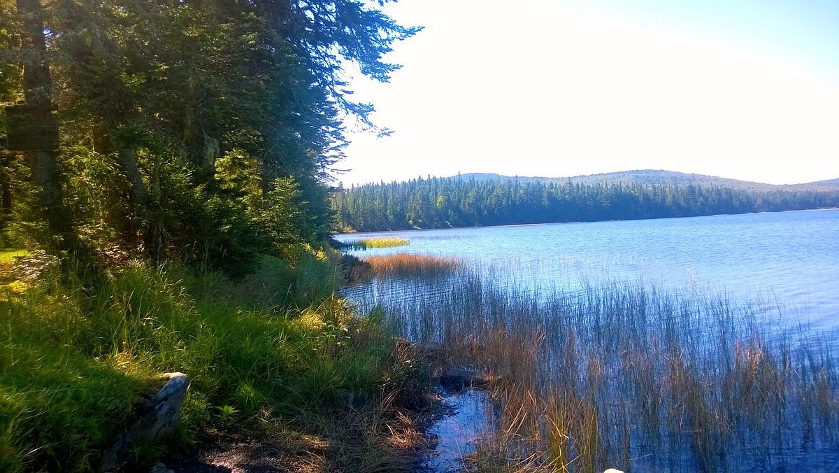 unveil-the-magic-of-stewartstowns-coleman-state-park