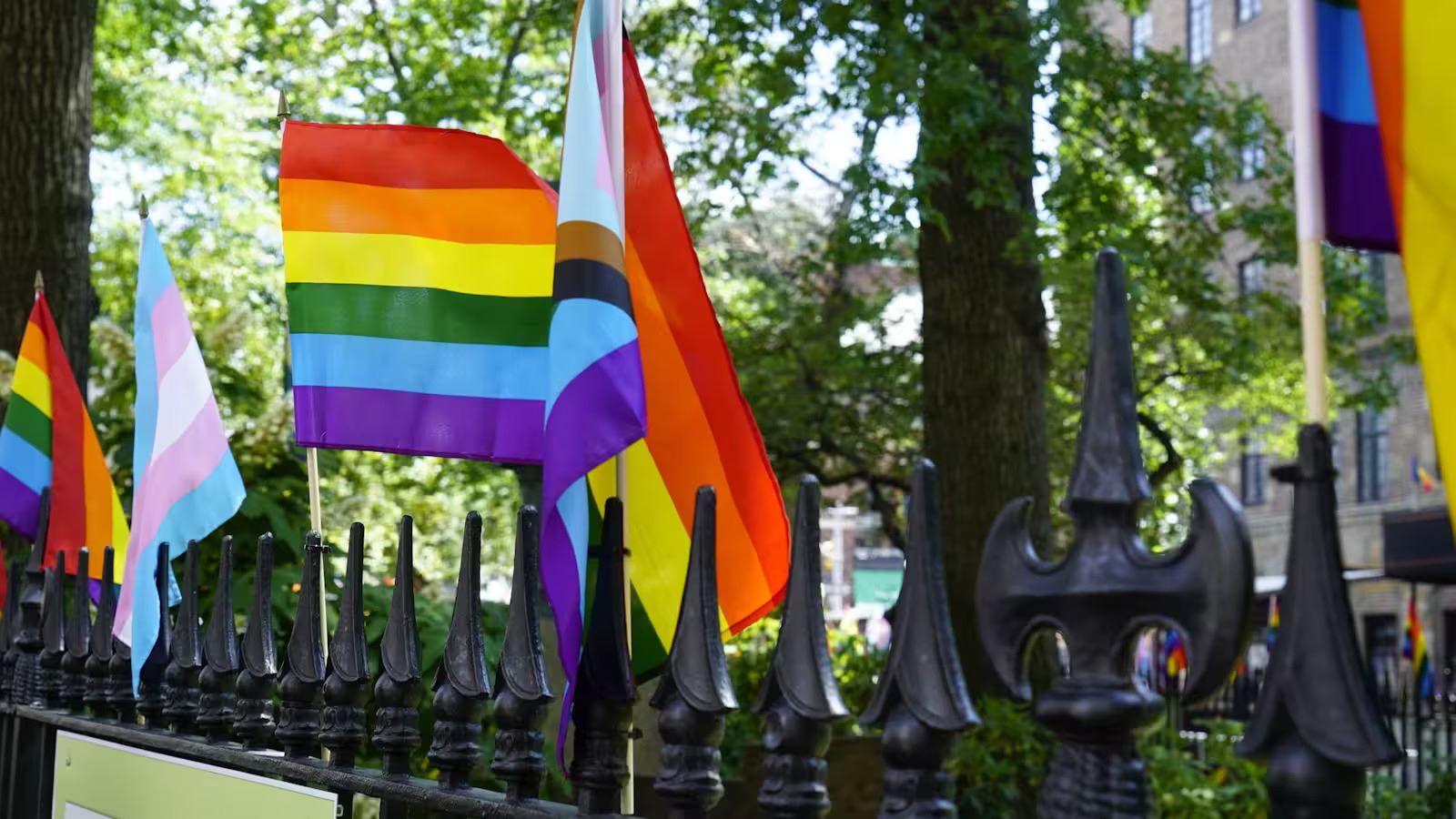 unveil-the-magic-of-stonewalls-bright-start-park