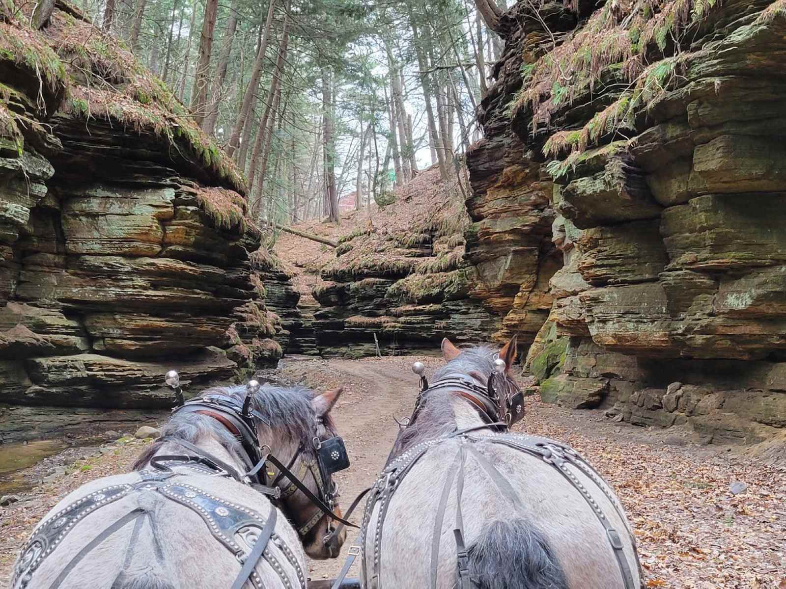 unveil-the-mysteries-of-lost-canyon-in-wisconsin-dells