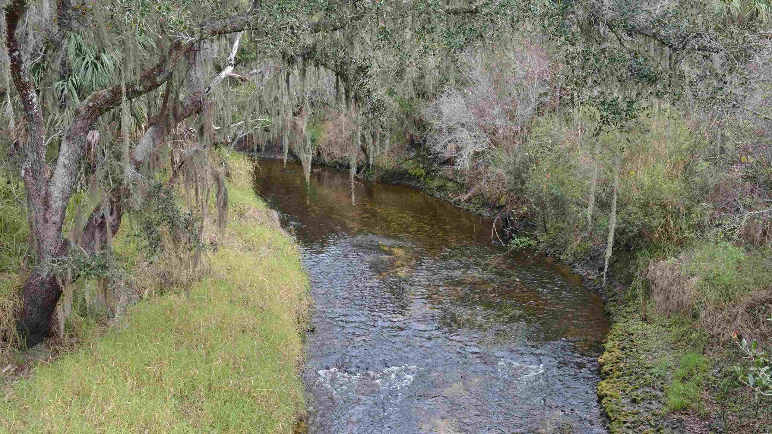 Unveil-The-Mysteries-Of-Paynes-Creek-Trading-Post unveil-the-mysteries-of-paynes-creek-trading-post