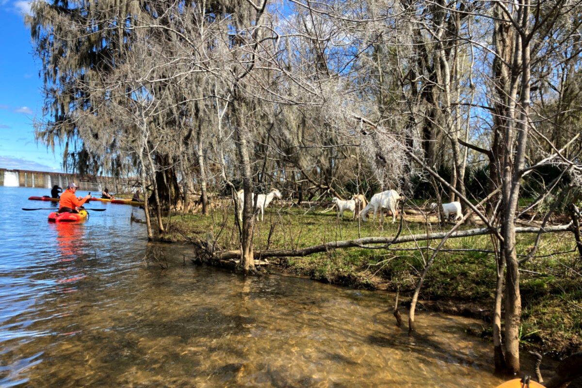 unveil-the-mysteries-of-stallings-island